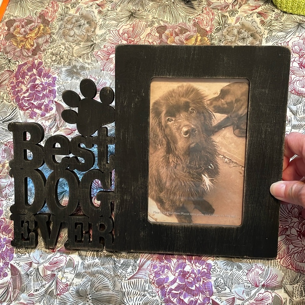 Dog Frame